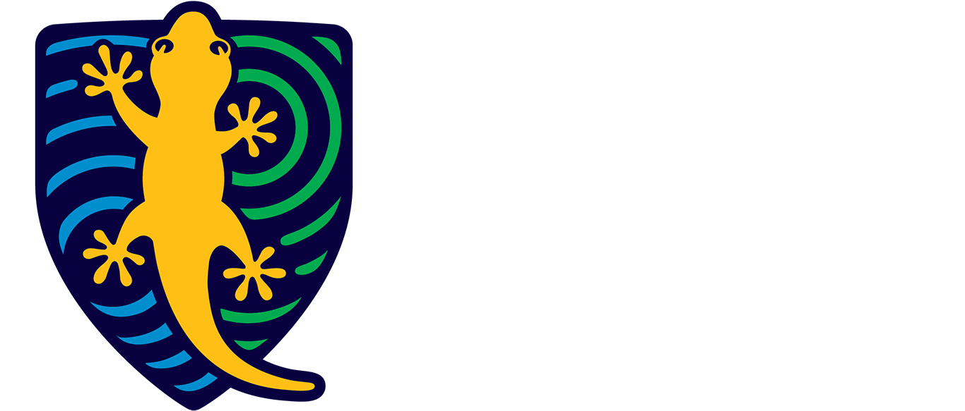 Kilkenny Primary School Logo